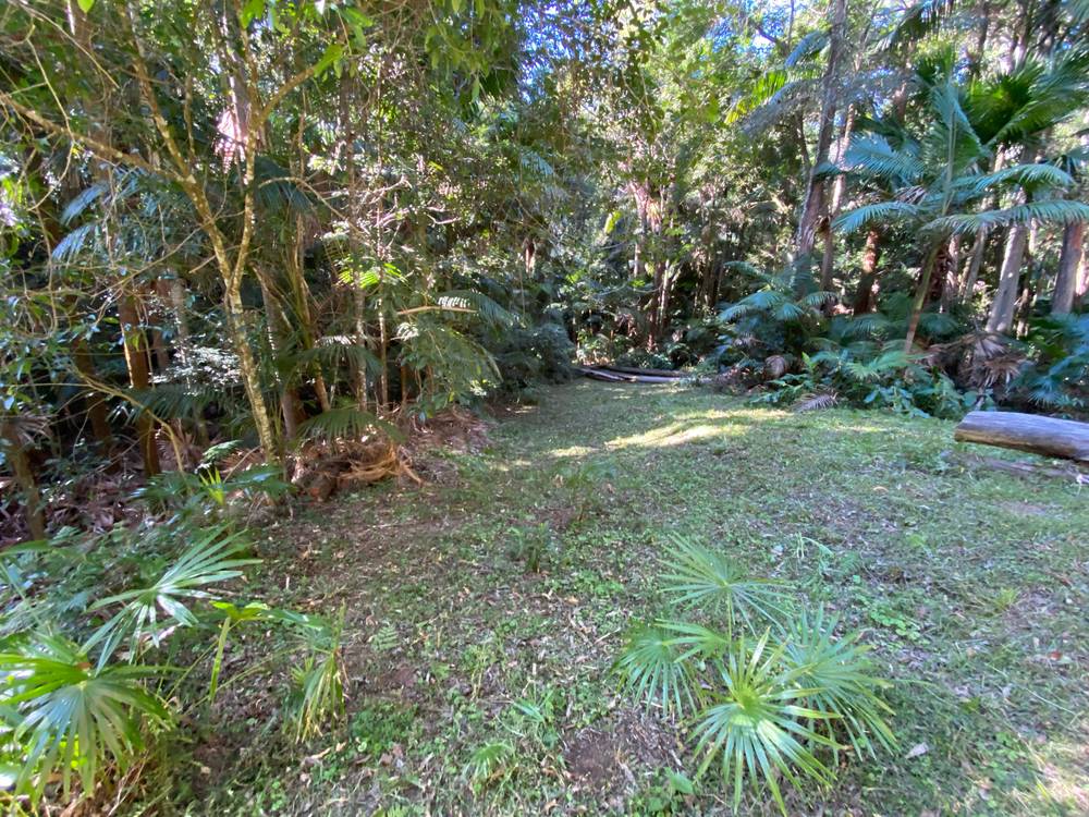 487 Wattle Tree Road, MATCHAM, NSW 2250