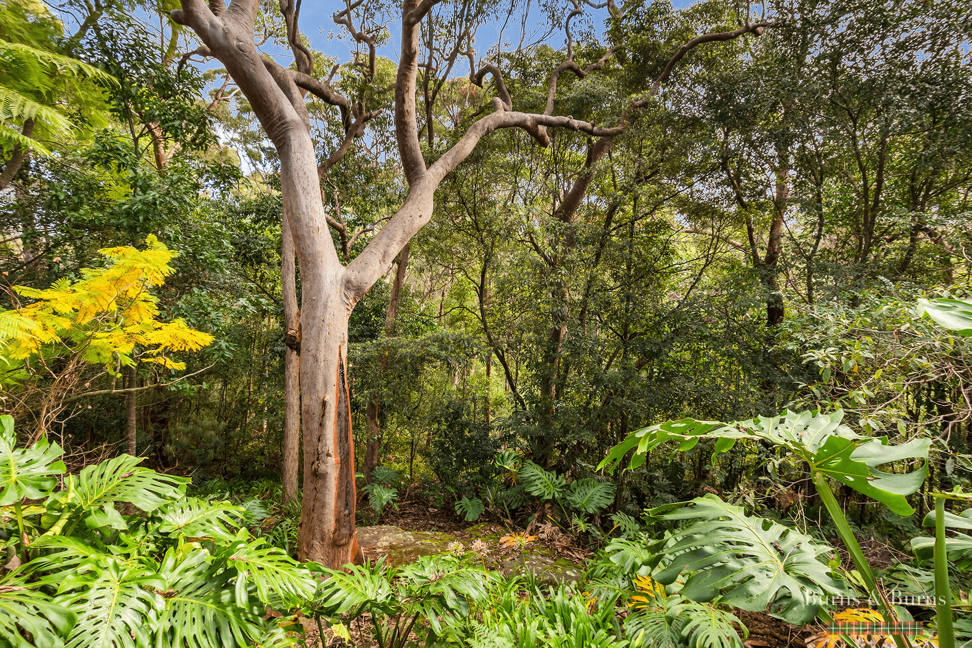 80 Kooloona Crescent, West Pymble, NSW 2073