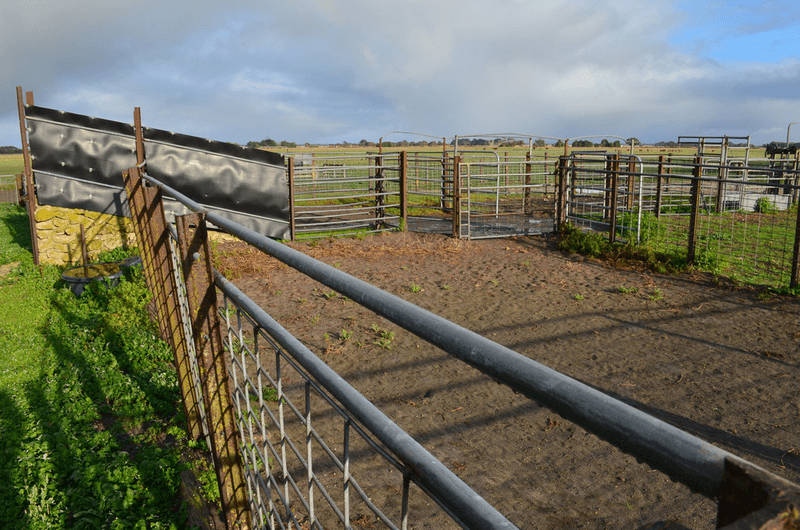 125 Eastern Road, MILLICENT, SA 5280