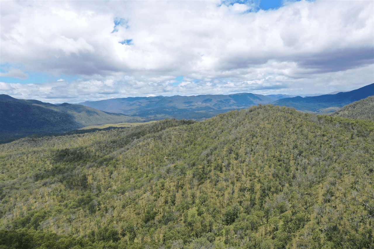 Lot 40 Billirimba Road, Tenterfield, NSW 2372