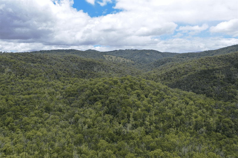 Lot 40 Billirimba Road, Tenterfield, NSW 2372