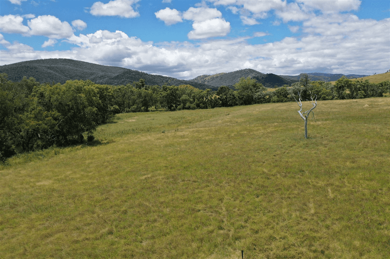 1213 Mole River Road, Tenterfield, NSW 2372