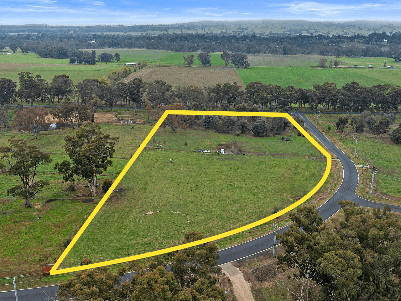 13 Bush Pea Drive, SEYMOUR, VIC 3660