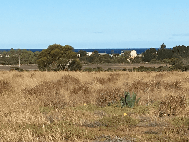 Lot 113 Port Neill Access Road, PORT NEILL, SA 5604