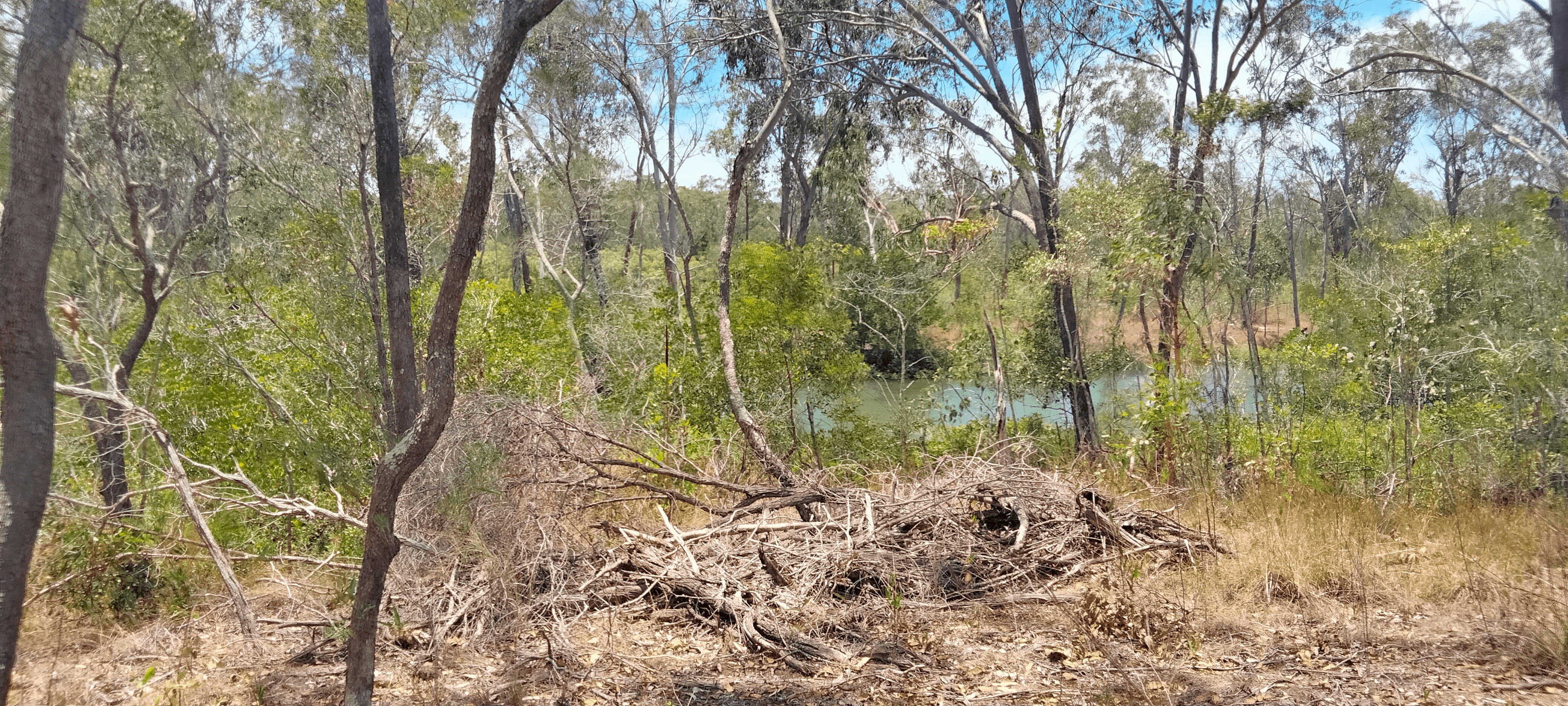 Dicksons Access Road, YANDARAN, QLD 4673