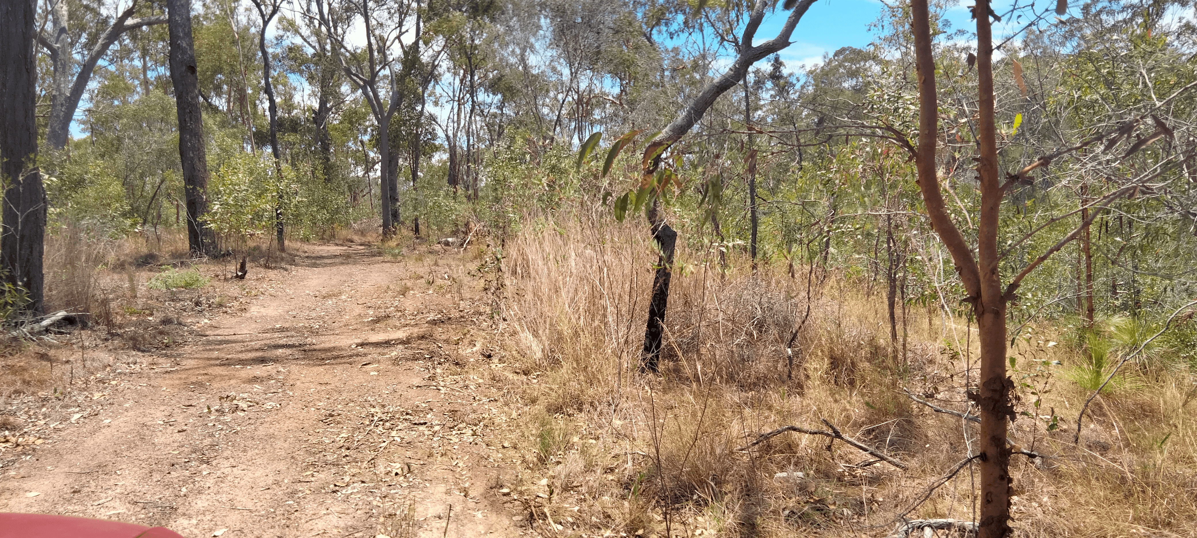 Dicksons Access Road, YANDARAN, QLD 4673