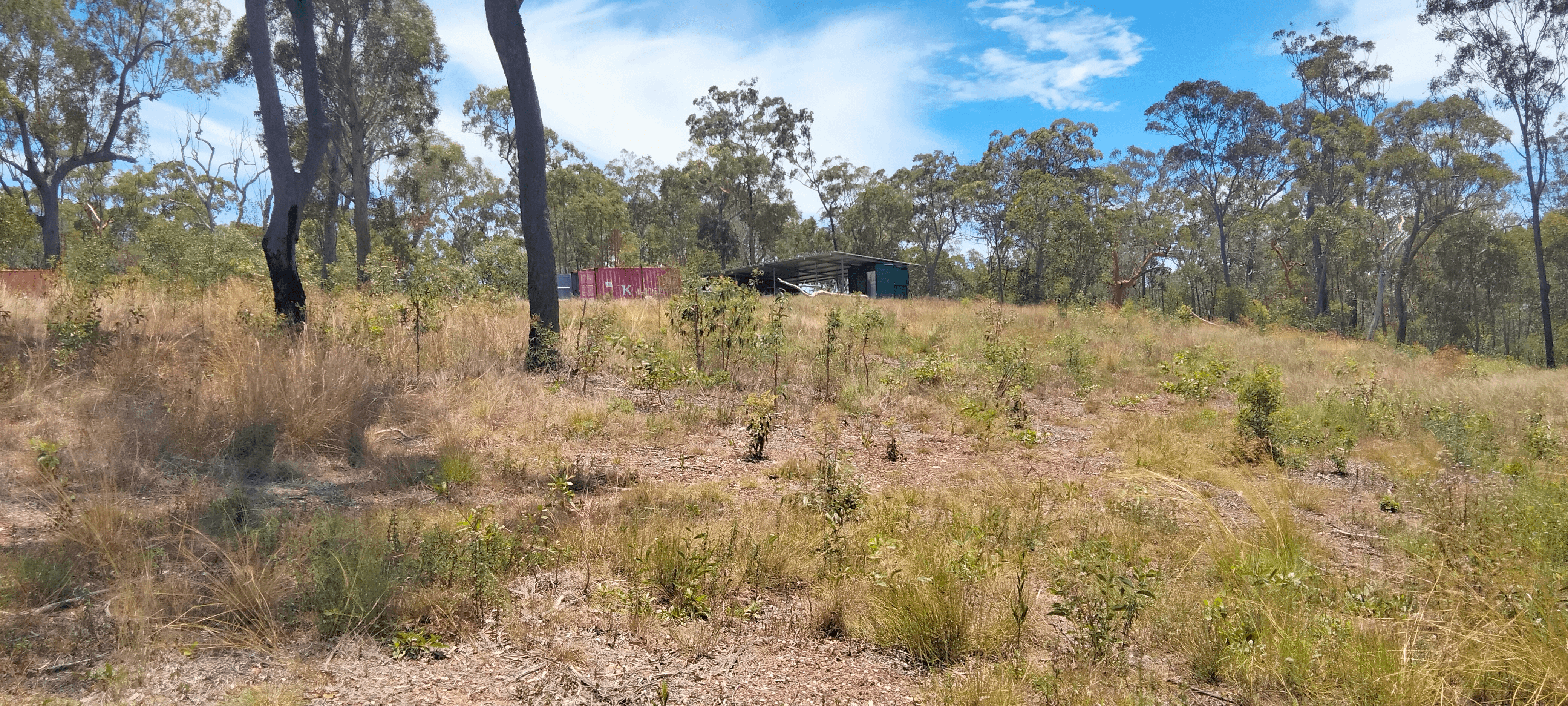 Dicksons Access Road, YANDARAN, QLD 4673