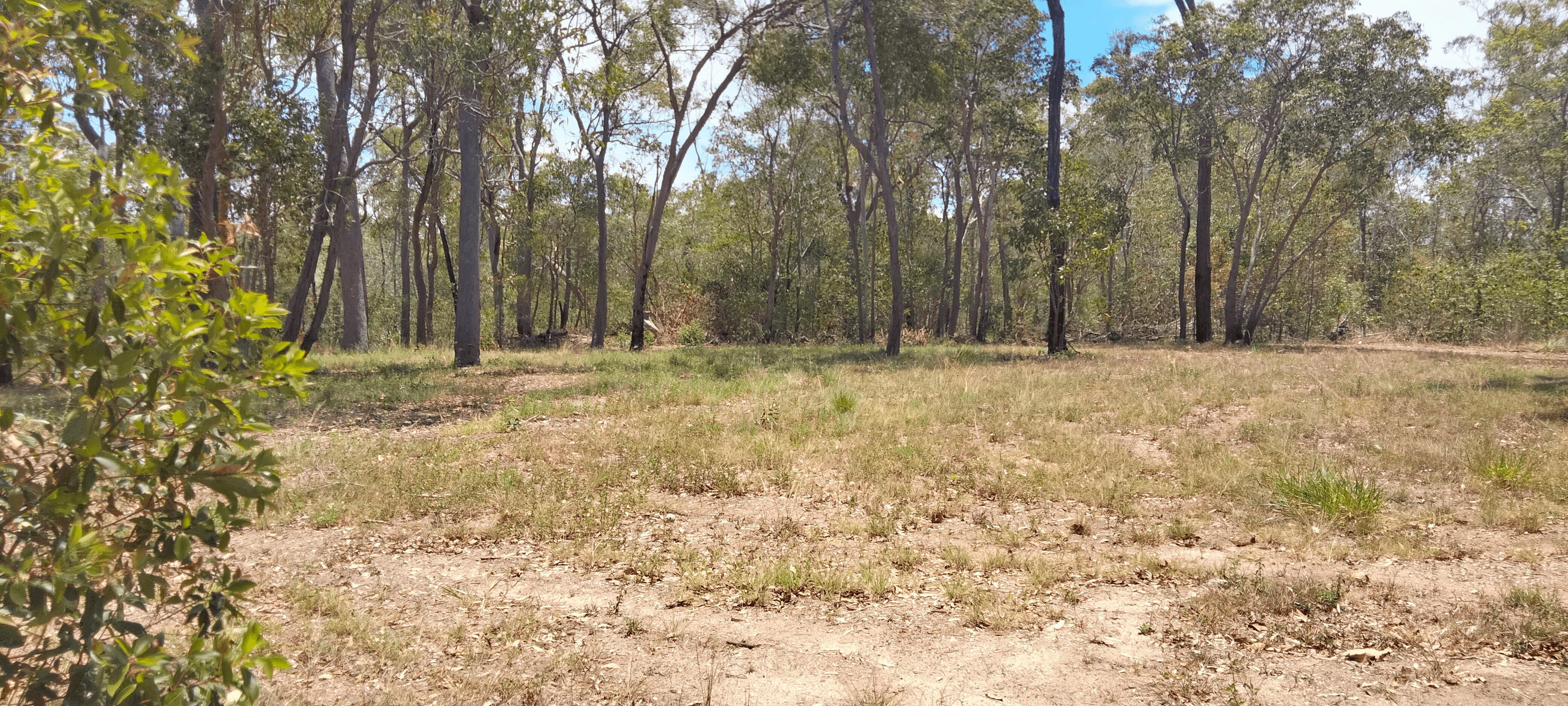 Dicksons Access Road, YANDARAN, QLD 4673