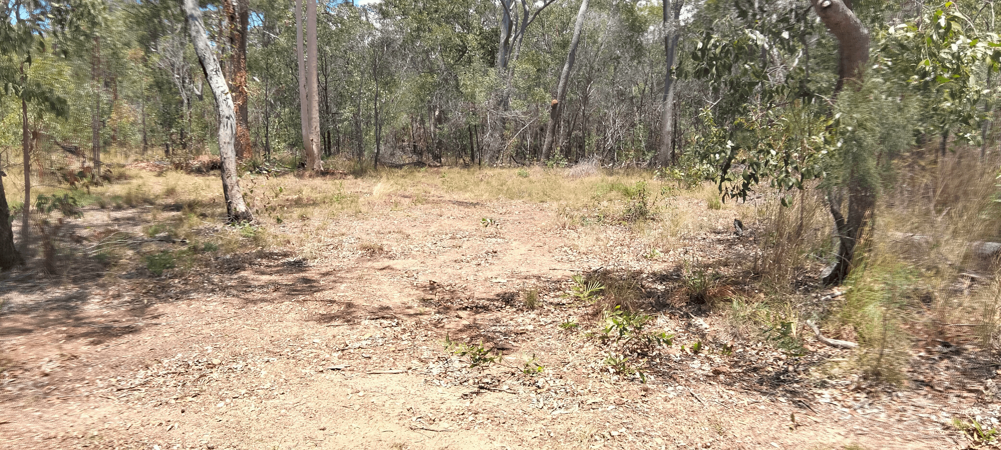 Dicksons Access Road, YANDARAN, QLD 4673