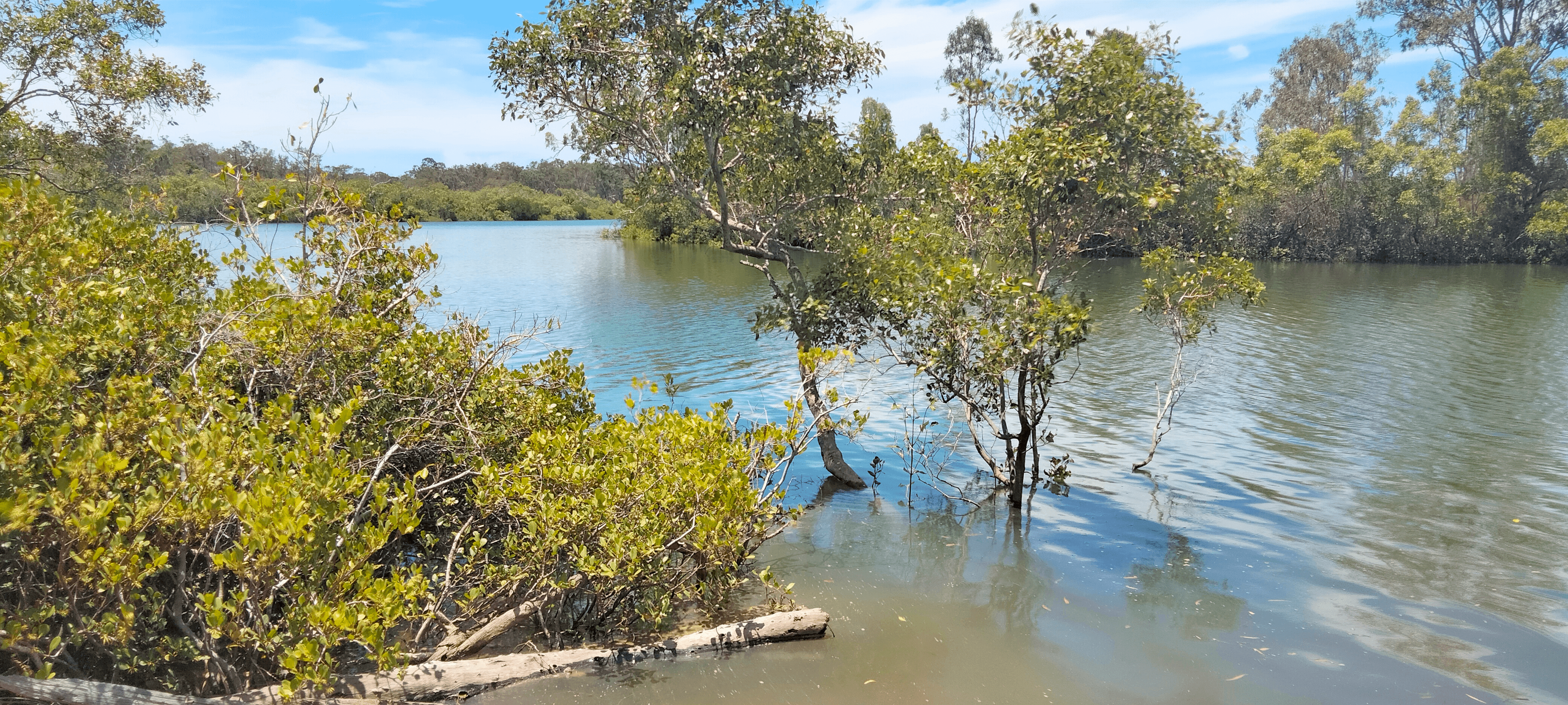 Dicksons Access Road, YANDARAN, QLD 4673