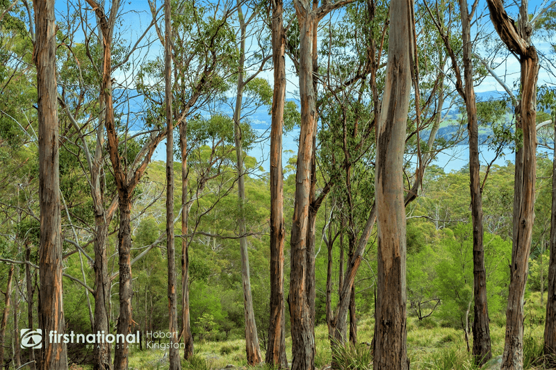 Lot 2 Bruny Island Main Road, NORTH BRUNY, TAS 7150