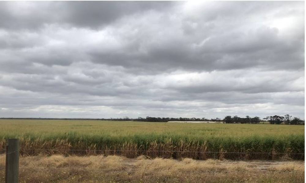 ' Johnson's Block, Mindarabin, WA 6336