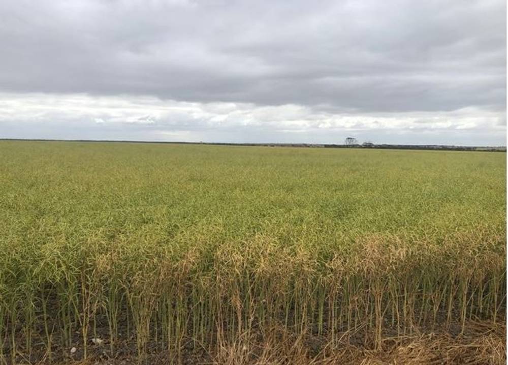 ' Johnson's Block, Mindarabin, WA 6336