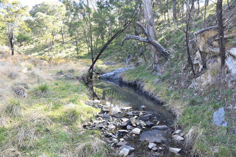 13983 Gwydir Highway, SHANNON VALE, NSW 2370