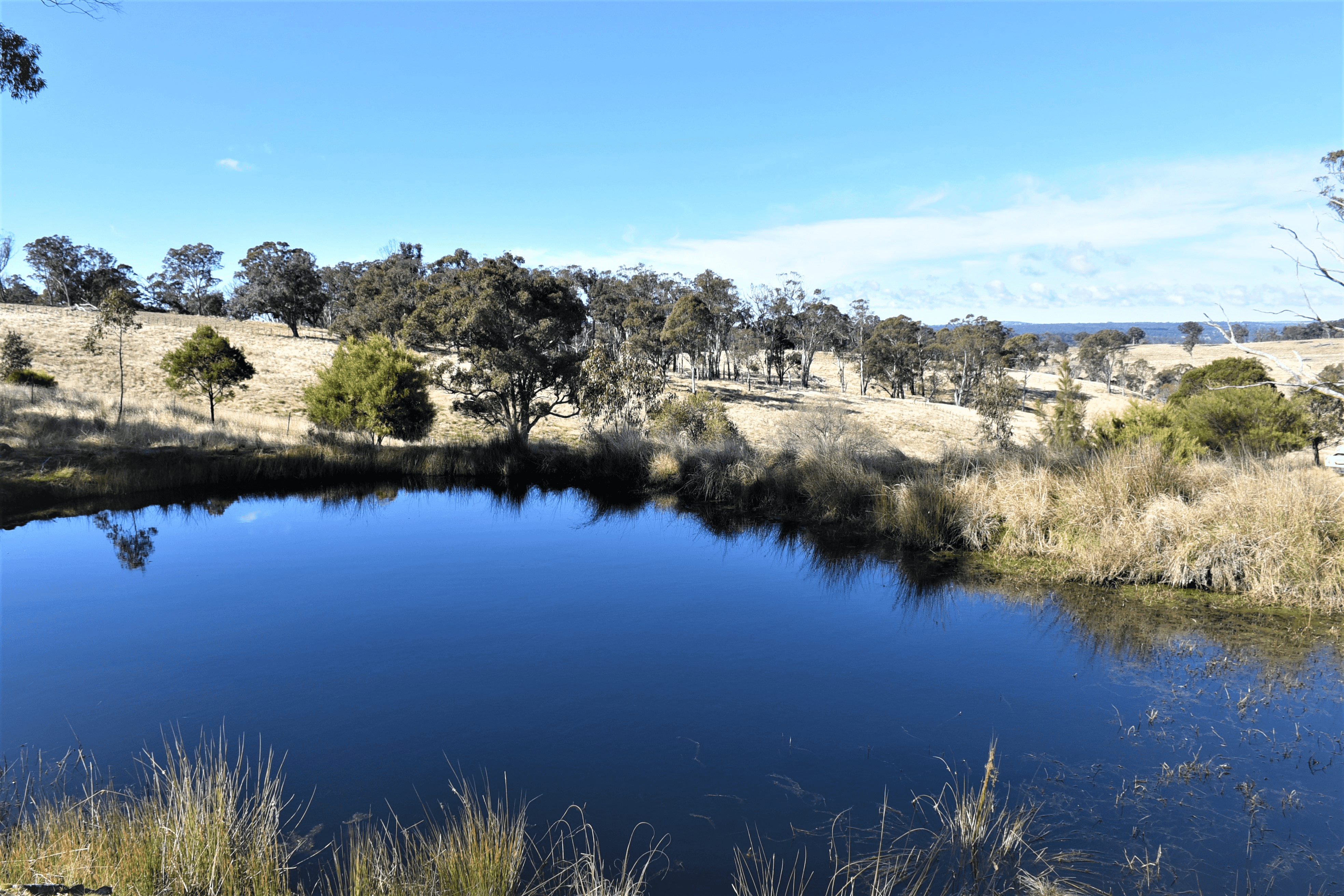 13983 Gwydir Highway, SHANNON VALE, NSW 2370