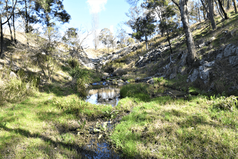 13983 Gwydir Highway, SHANNON VALE, NSW 2370