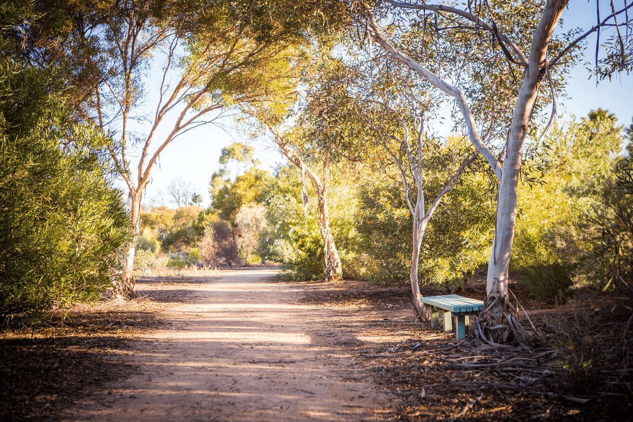 Bologna Avenue, Irymple, VIC 3498