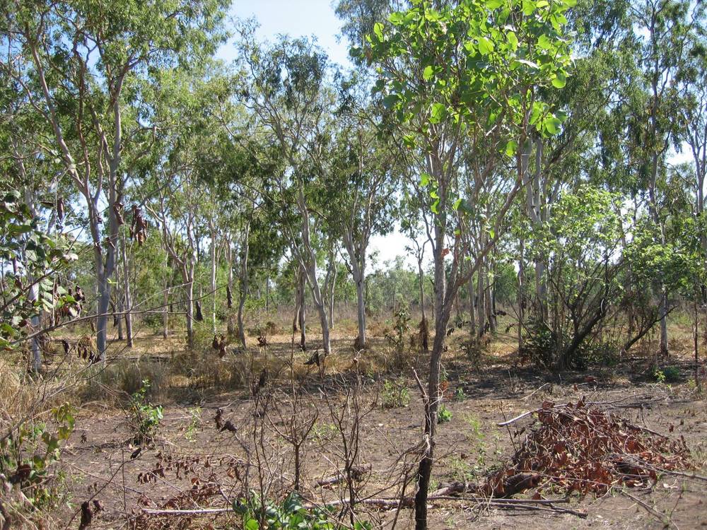 Section 32 Hundred of Berinka, Daly River, NT 0822