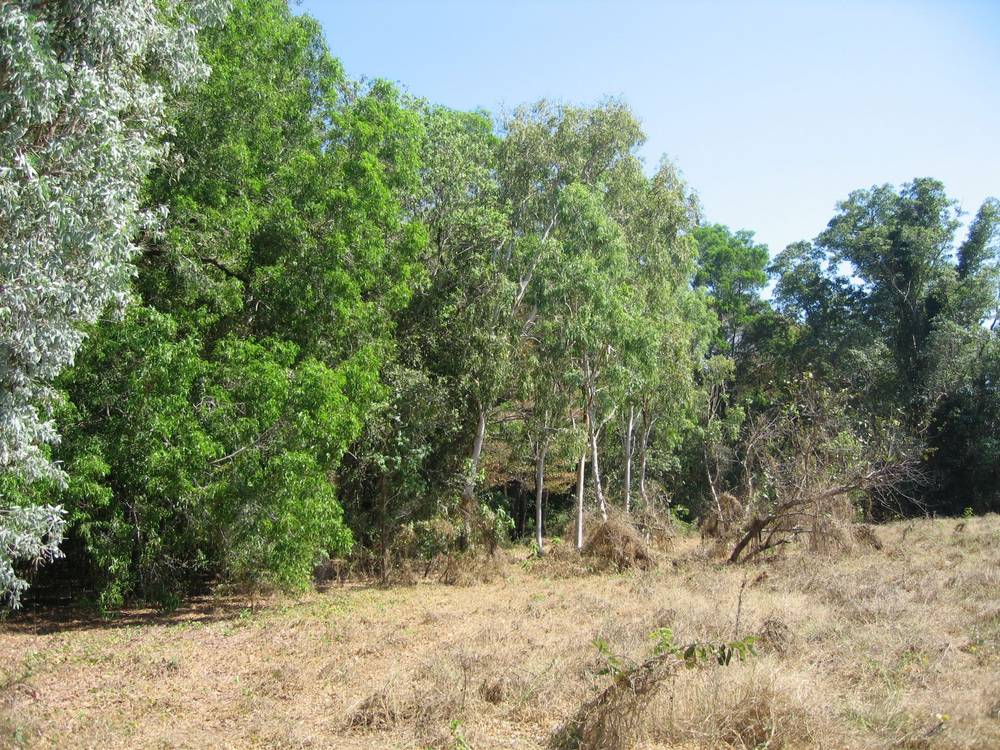Section 32 Hundred of Berinka, Daly River, NT 0822