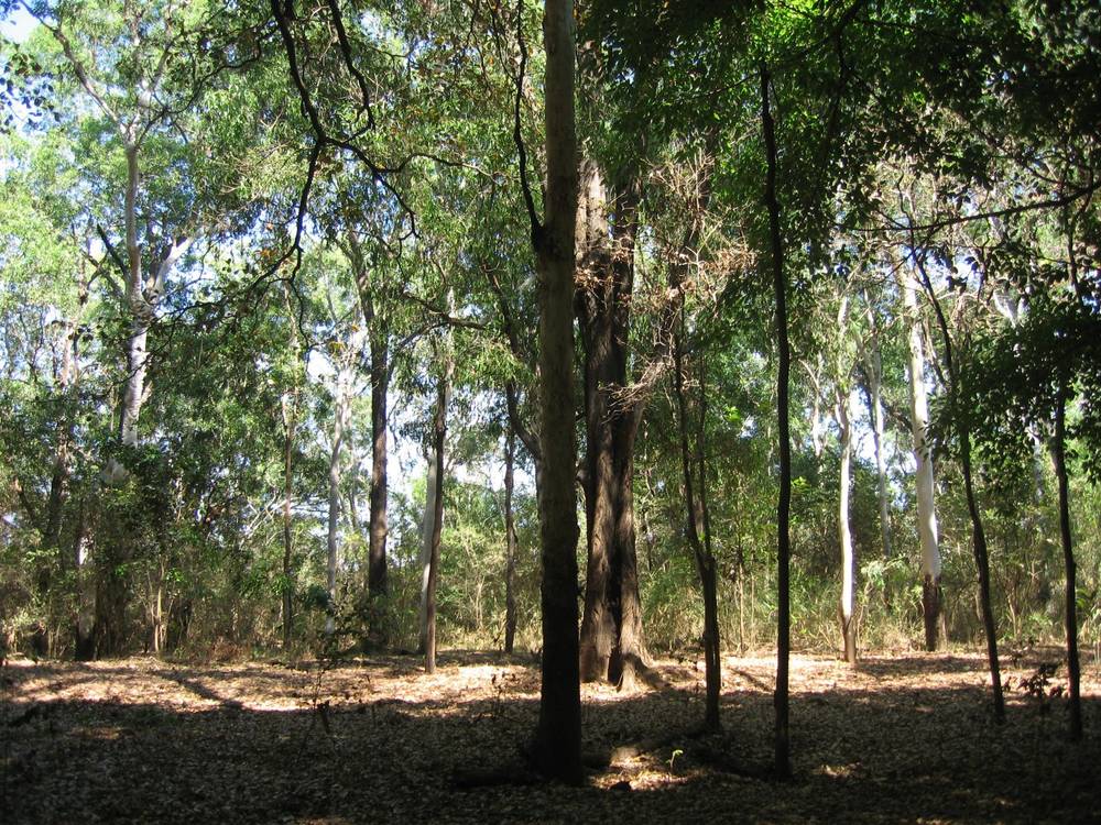 Section 32 Hundred of Berinka, Daly River, NT 0822