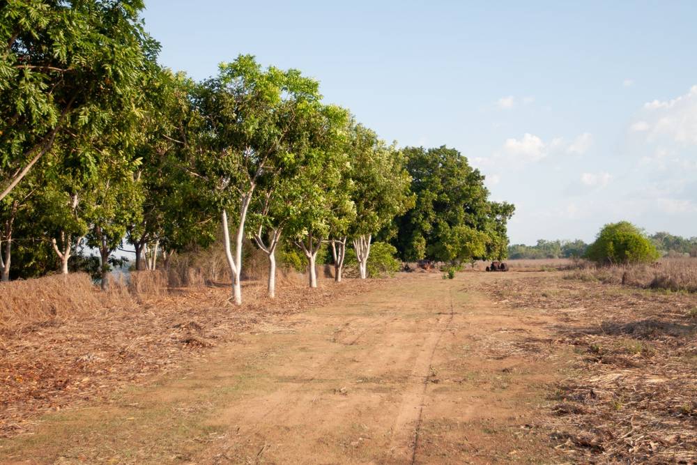 Section 32 Hundred of Berinka, Daly River, NT 0822