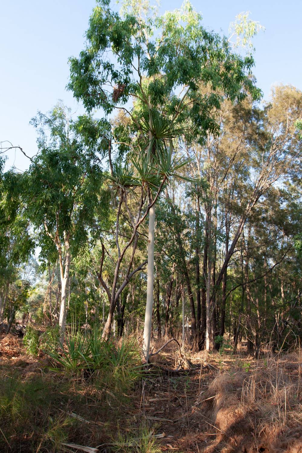 Section 32 Hundred of Berinka, Daly River, NT 0822