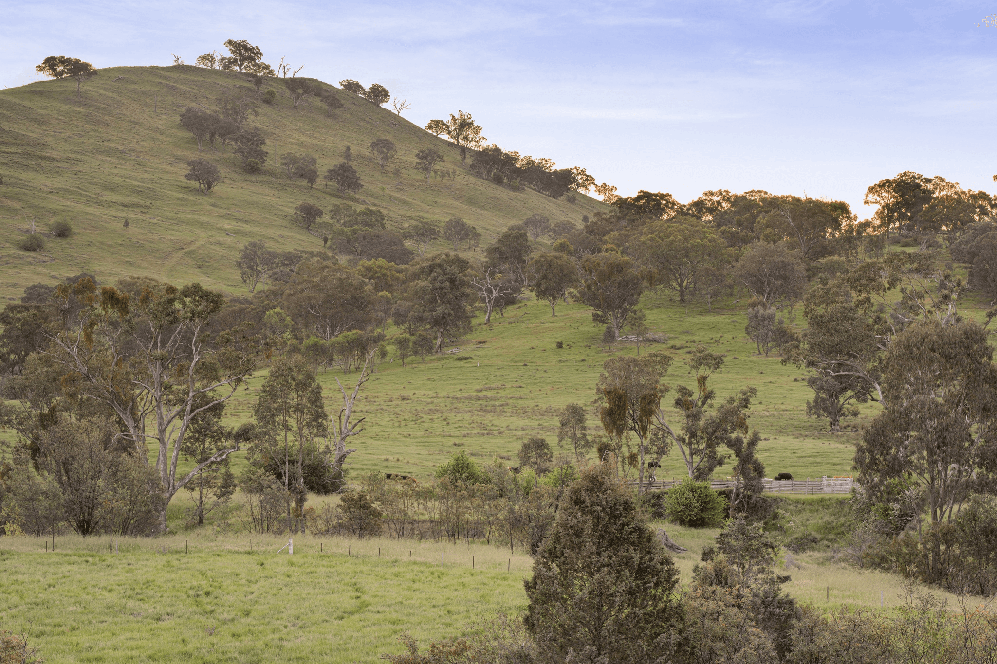 65 Castle Creek Road, WODONGA, VIC 3690