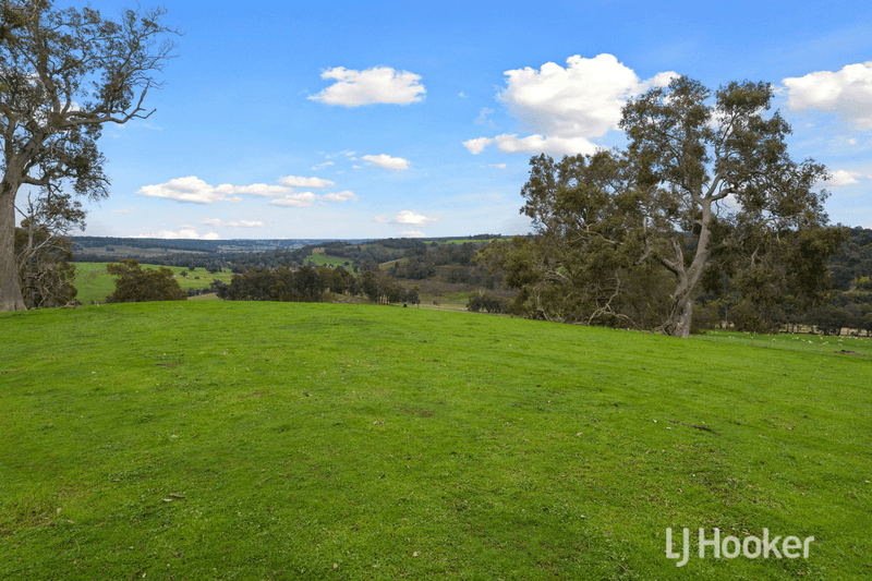 3804 Donnybrook-Boyup Brook Road, Noggerup, WA 6225