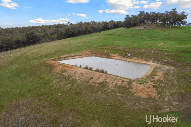 3804 Donnybrook-Boyup Brook Road, Noggerup, WA 6225