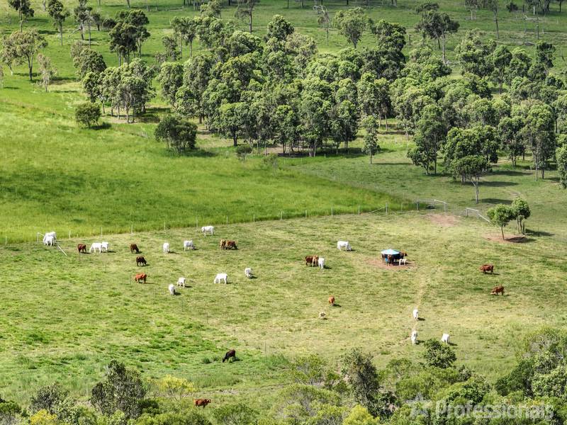 38 Madges Road, Bungundarra, QLD 4703