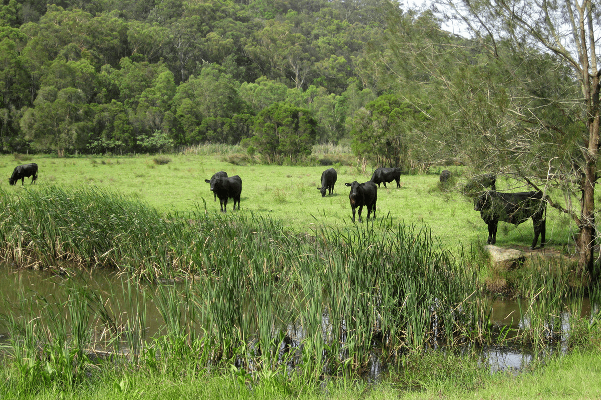 4400 Wisemans Ferry Road, Spencer, NSW 2775