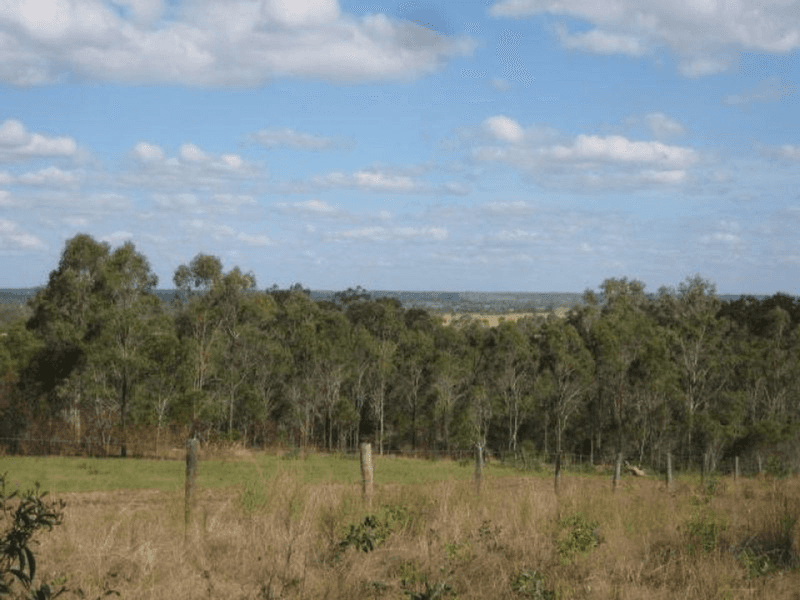 Lot 10 Snake Creek Road, SOUTH KOLAN, QLD 4670