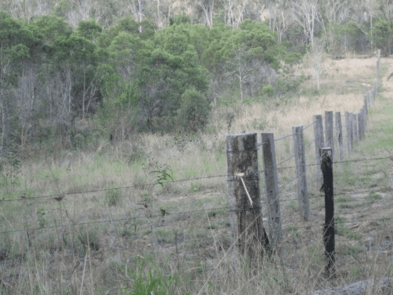 Lot 10 Snake Creek Road, SOUTH KOLAN, QLD 4670