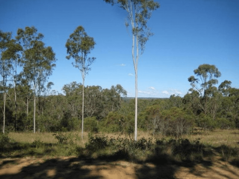 Lot 10 Snake Creek Road, SOUTH KOLAN, QLD 4670