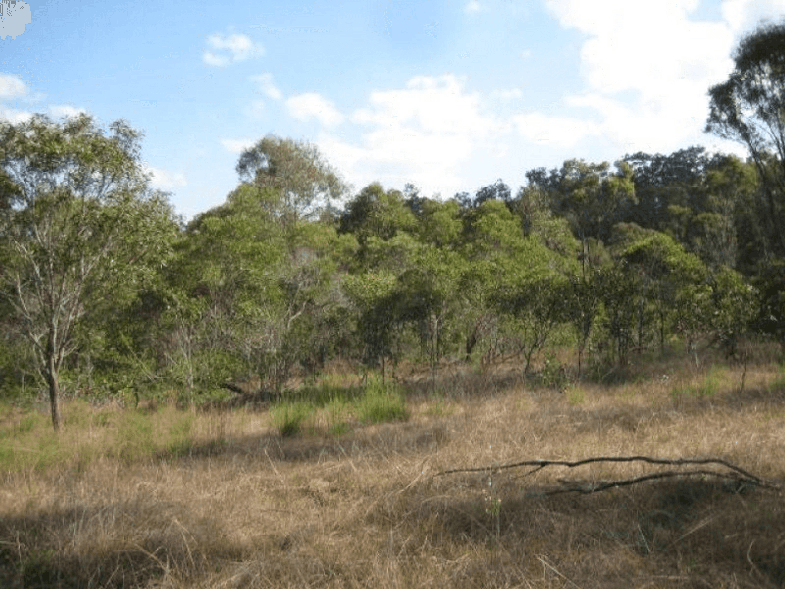 Lot 10 Snake Creek Road, SOUTH KOLAN, QLD 4670