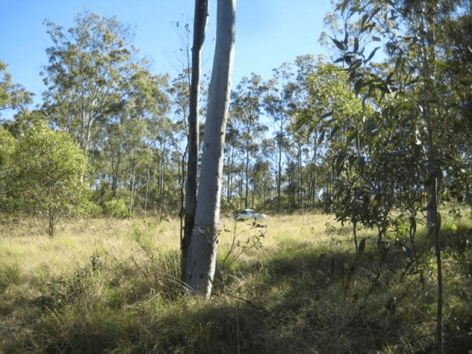 Lot 10 Snake Creek Road, SOUTH KOLAN, QLD 4670