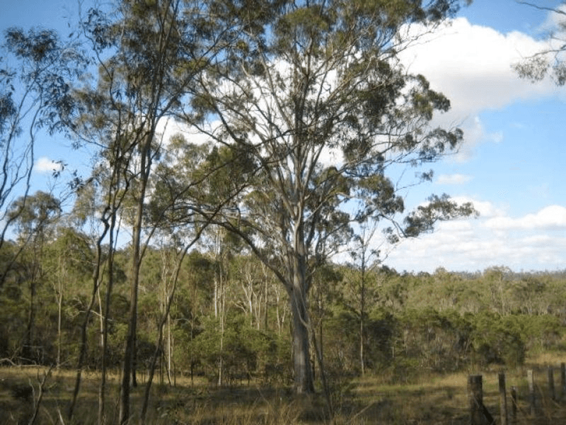 Lot 10 Snake Creek Road, SOUTH KOLAN, QLD 4670