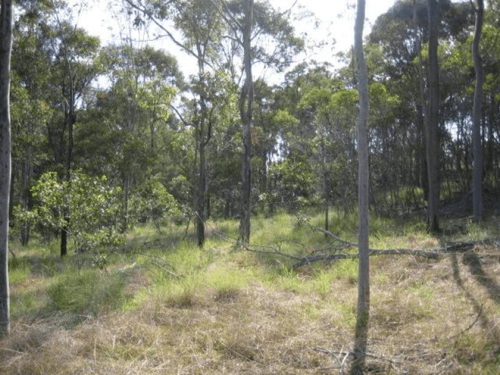 Lot 10 Snake Creek Road, SOUTH KOLAN, QLD 4670