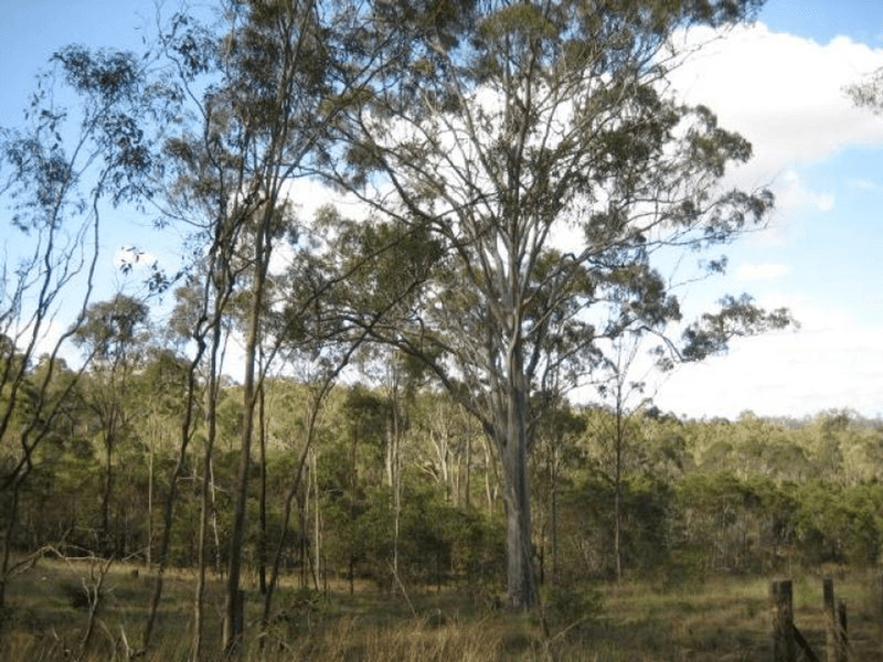 Lot 10 Snake Creek Road, SOUTH KOLAN, QLD 4670