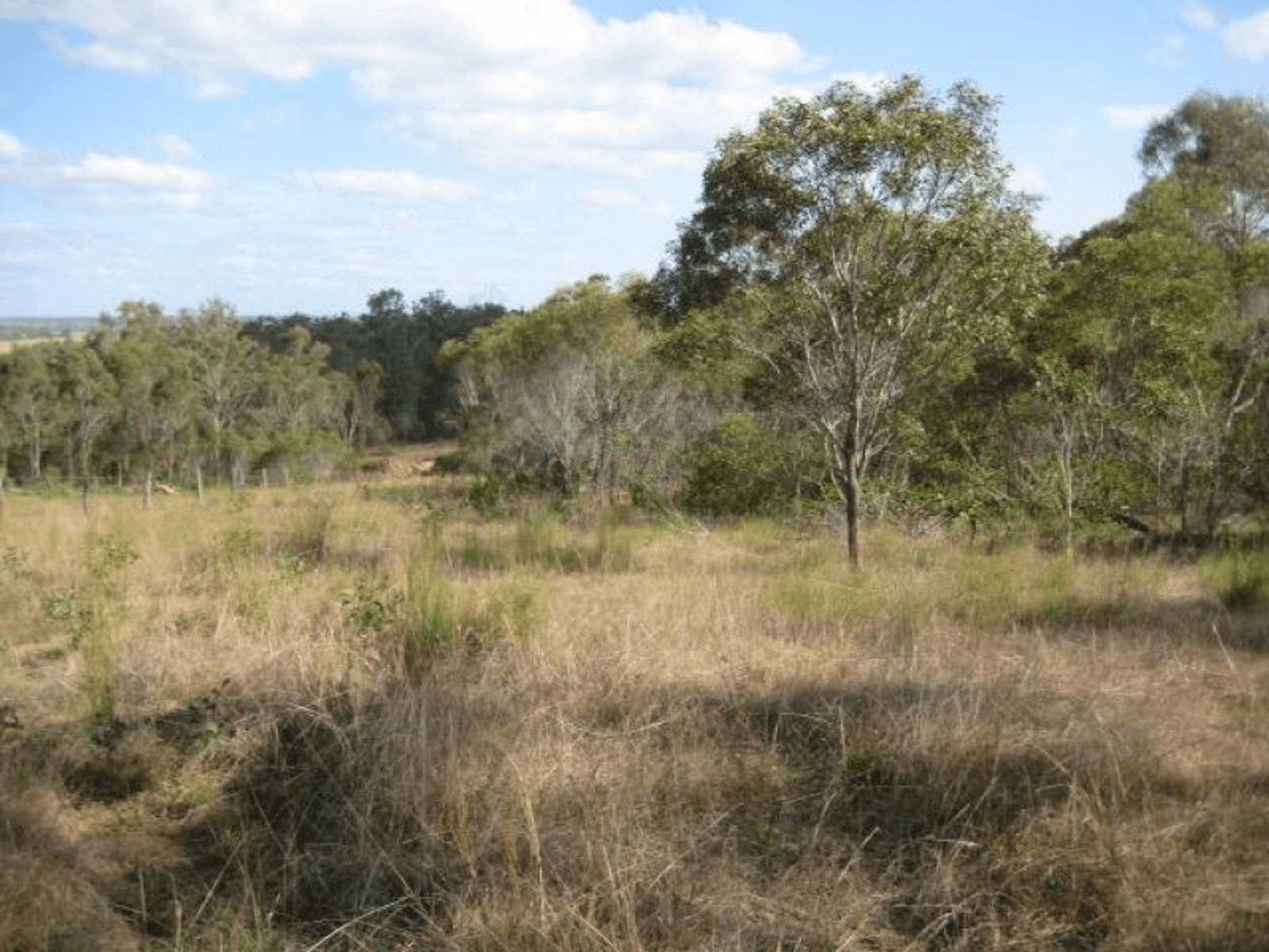 Lot 10 Snake Creek Road, SOUTH KOLAN, QLD 4670