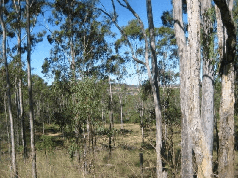 Lot 10 Snake Creek Road, SOUTH KOLAN, QLD 4670