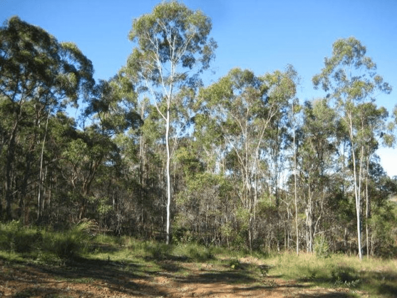 Lot 10 Snake Creek Road, SOUTH KOLAN, QLD 4670