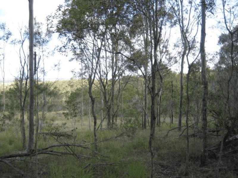 Lot 10 Snake Creek Road, SOUTH KOLAN, QLD 4670