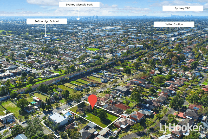 225 - 227 Wellington Road, CHESTER HILL, NSW 2162