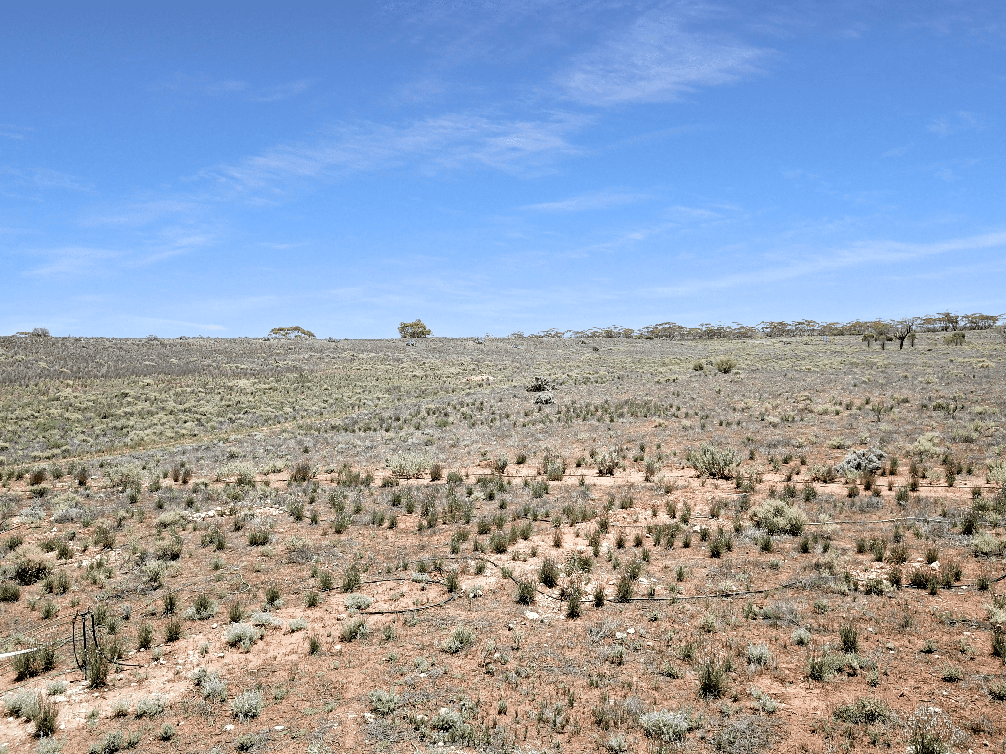 Lot 631 Morgan-Cadell Road, CADELL, SA 5321