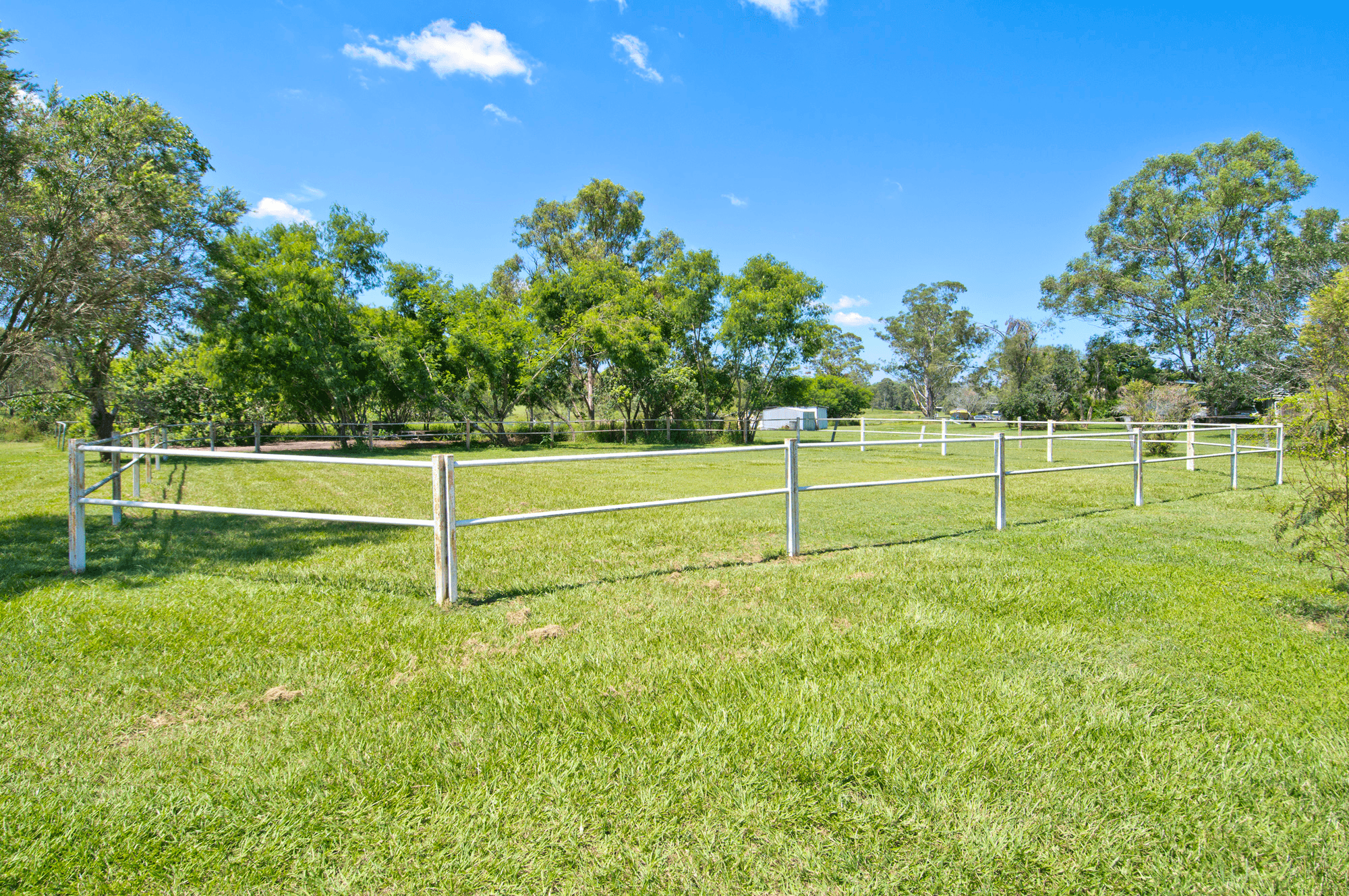 89 Lancebark Road, GLENLOGAN, QLD 4280