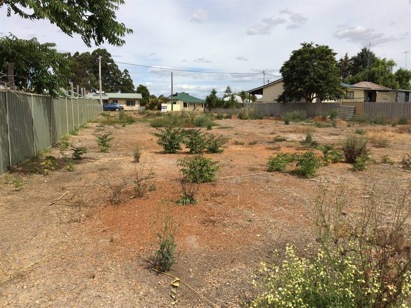 45 Clark Street, MANJIMUP, WA 6258