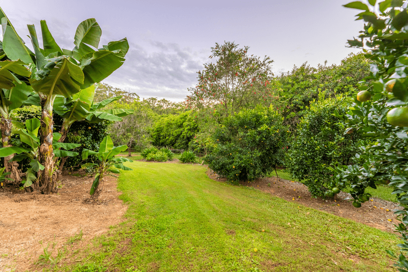 70 Reserve Lane, PEACHESTER, QLD 4519