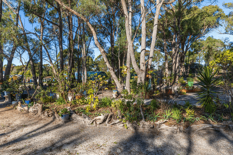 30 Osprey Drive, ST HELENS, TAS 7216