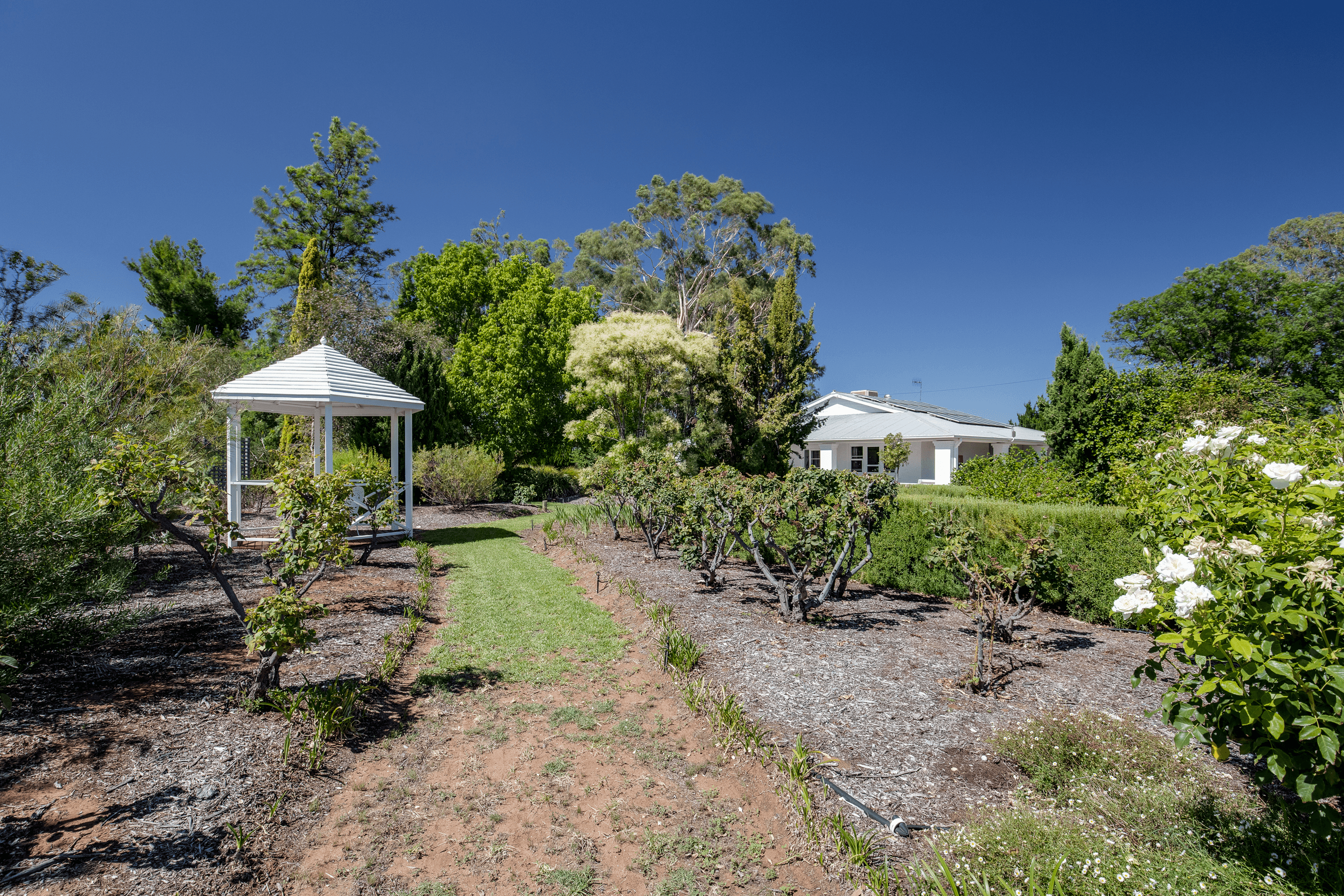 121 Mortimer Road, BERRI, SA 5343